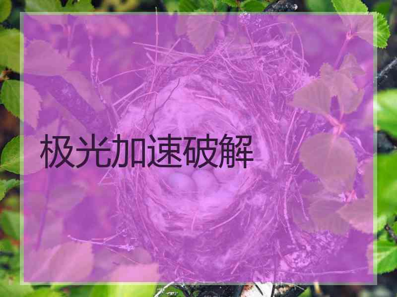 极光加速破解